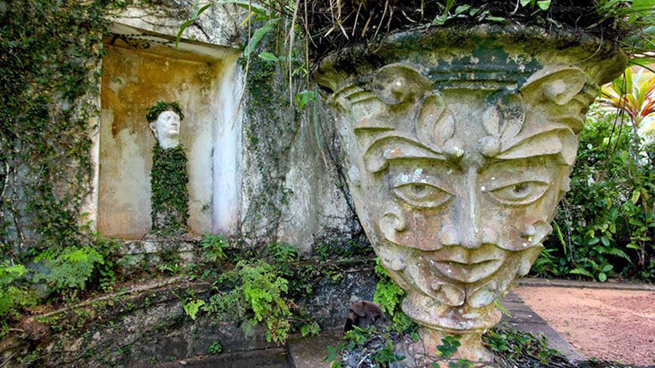 Brief Garden Tour and Lunch from Colombo