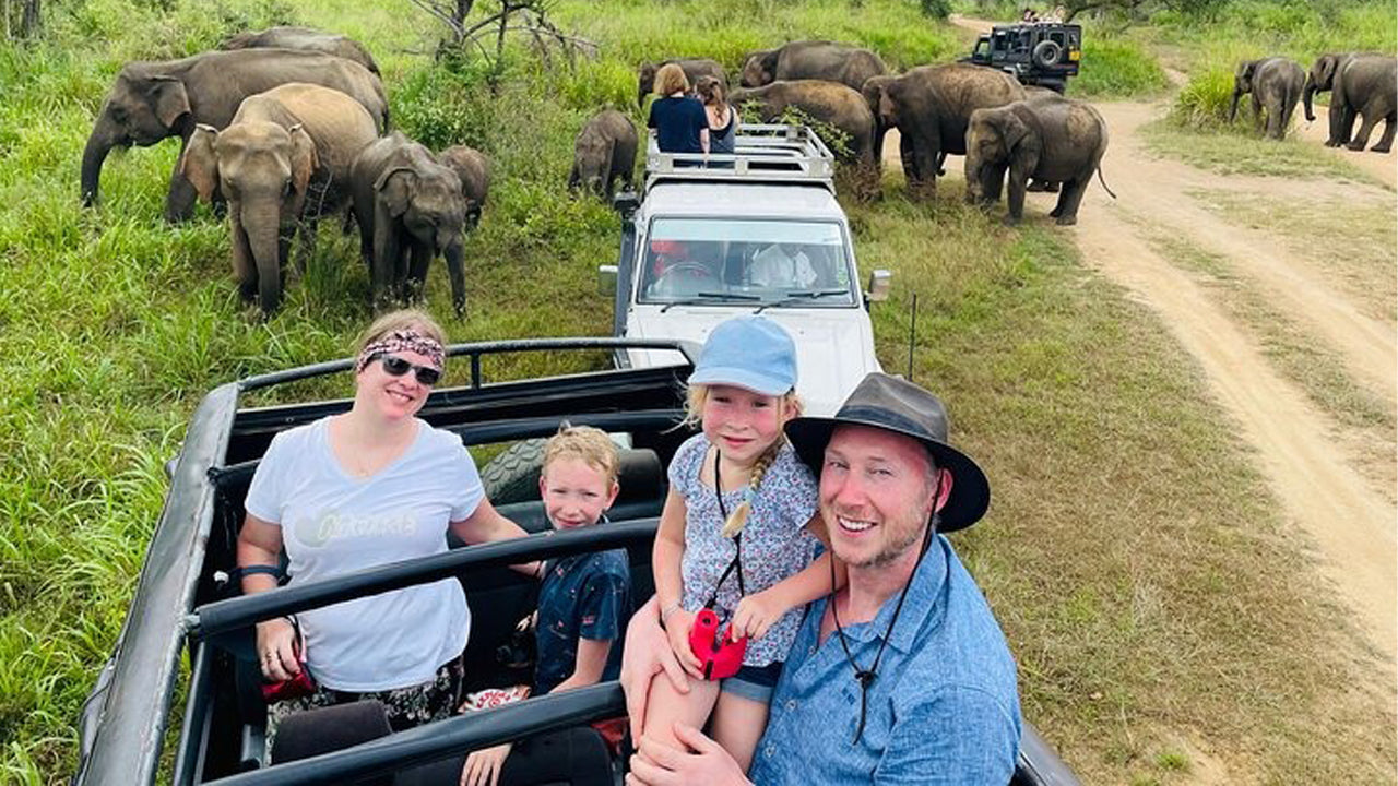 Polonnaruwa Heritage and Hurulu Eco Park Safari from Trincomalee