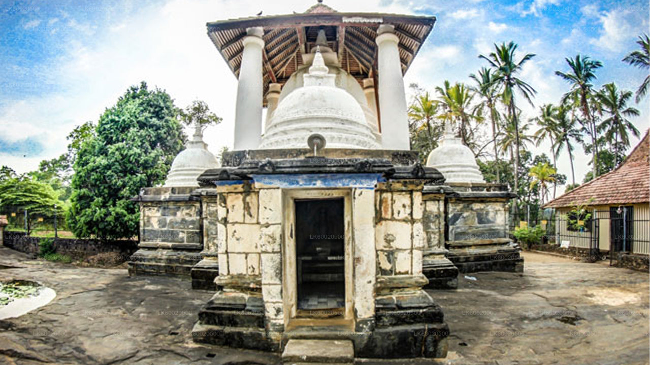 Excursión a Temple Run desde Kandy