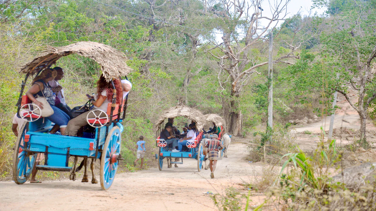Safari por la roca de Sigiriya y elefantes salvajes desde Dambulla