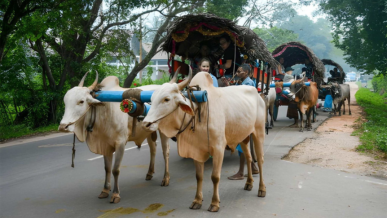 Visita al pueblo de Sigiriya desde Habarana