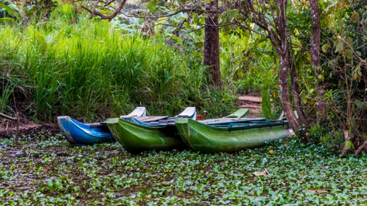 Visita al pueblo de Hiriwadunna desde Habarana