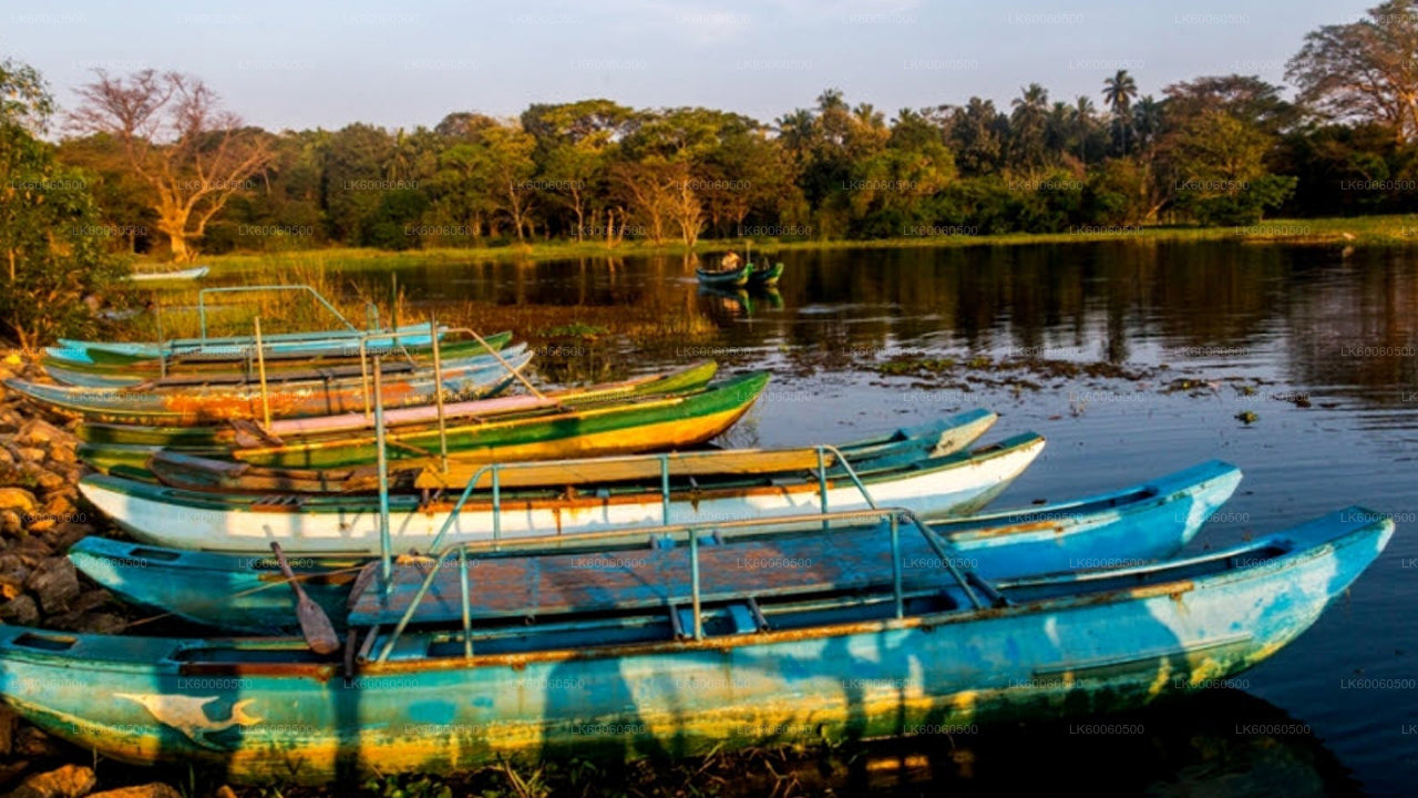 Visita al pueblo de Hiriwadunna desde Habarana