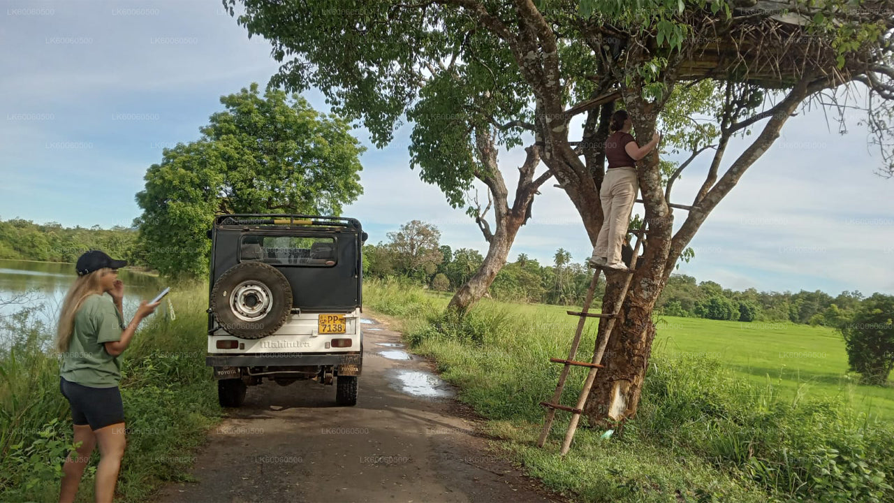 Visita al pueblo de Hiriwadunna desde Habarana