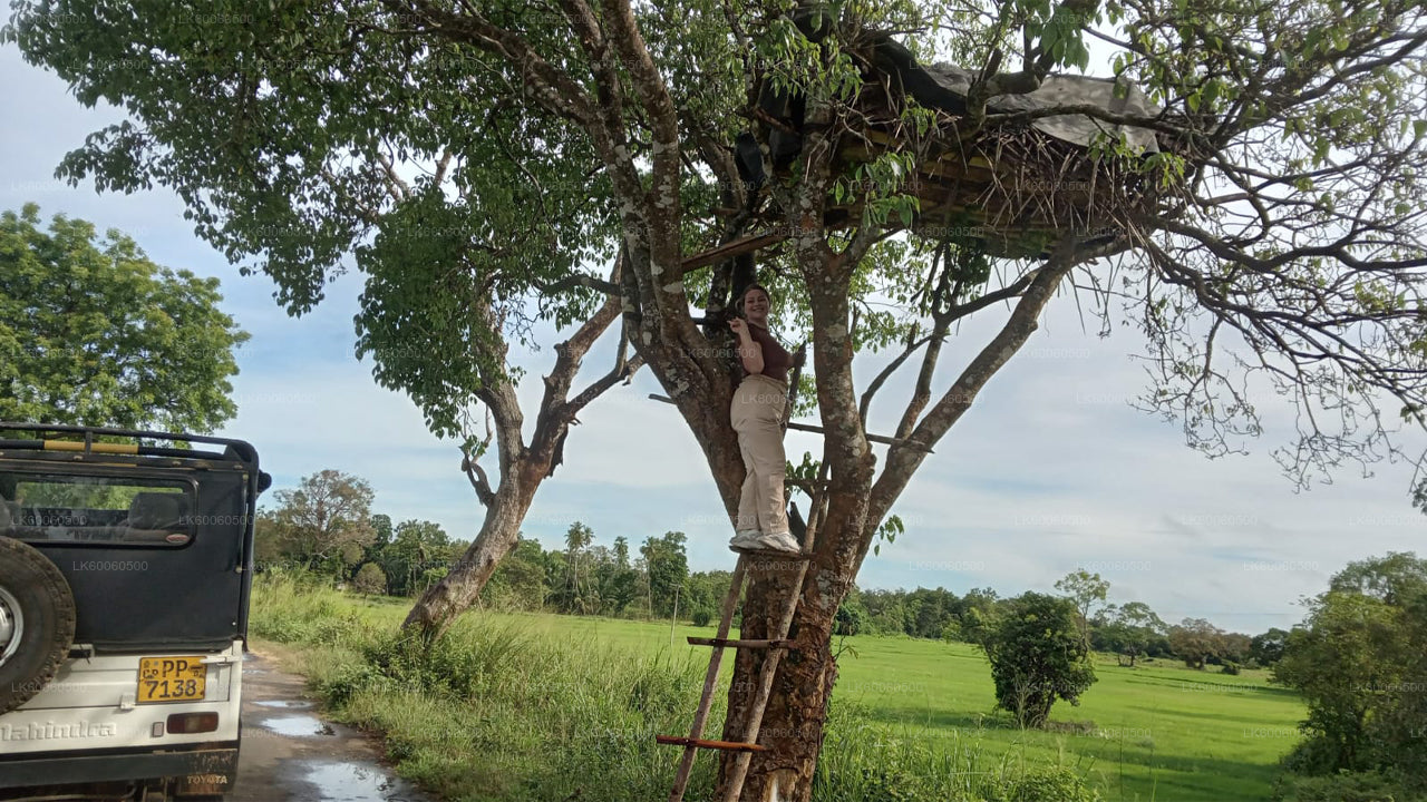 Visita al pueblo de Hiriwadunna desde Habarana