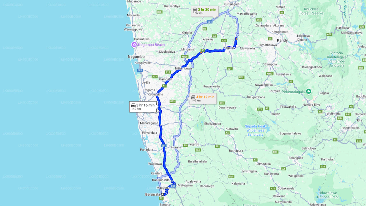 Orfanato de elefantes de Pinnawala de Beruwala