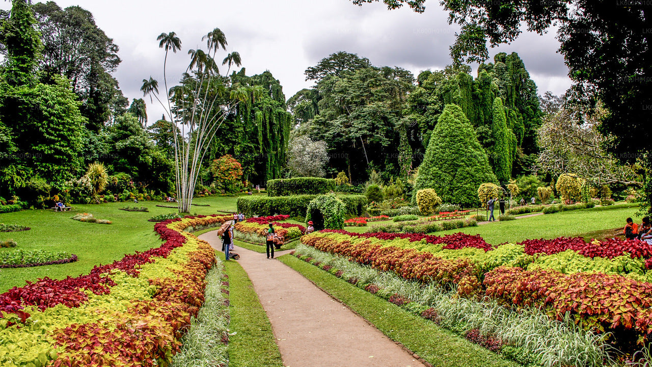 Recorrido por la ciudad de Kandy desde Kitulgala