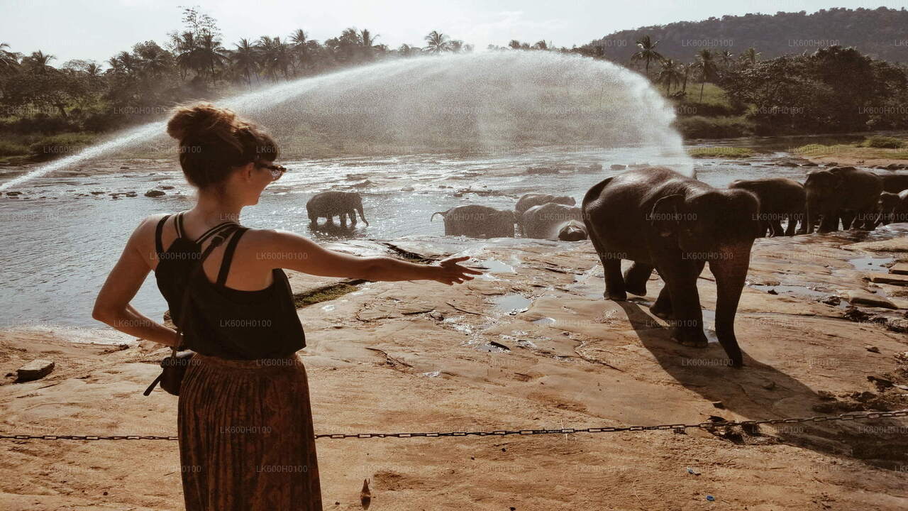 Recorrido por la ciudad de Kandy desde Kitulgala