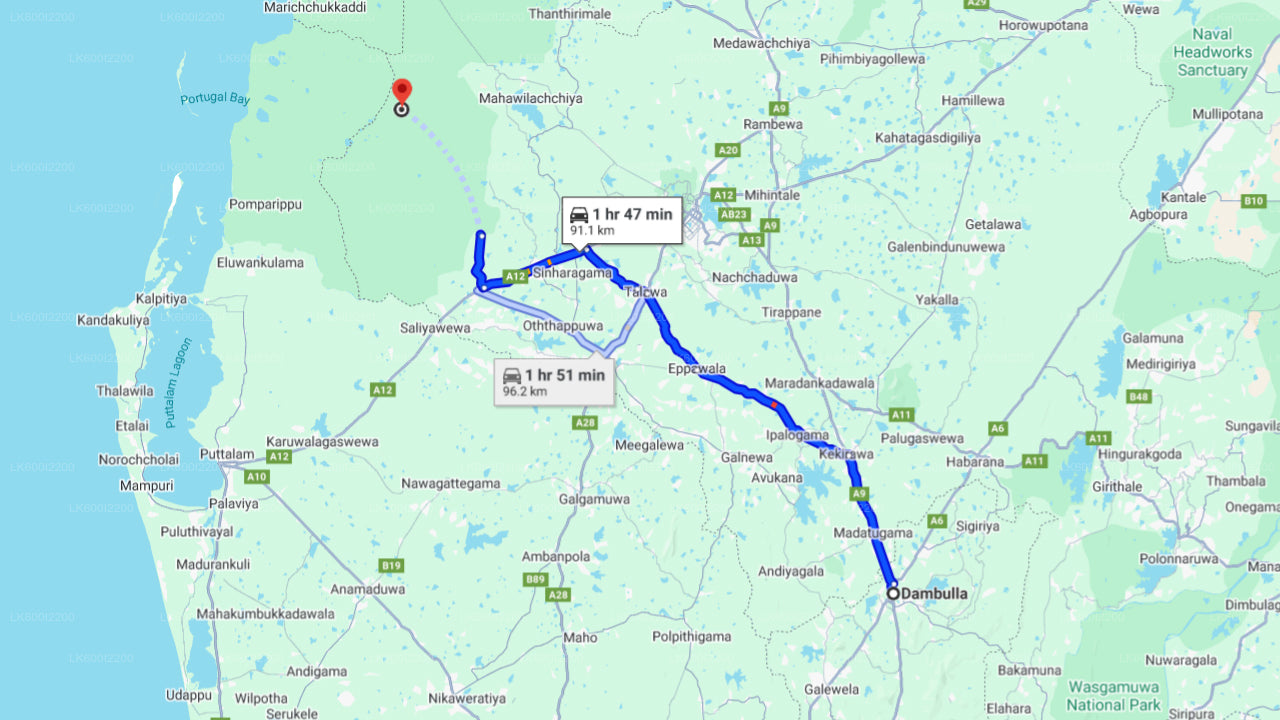 Wilpattu National Park Safari from Dambulla