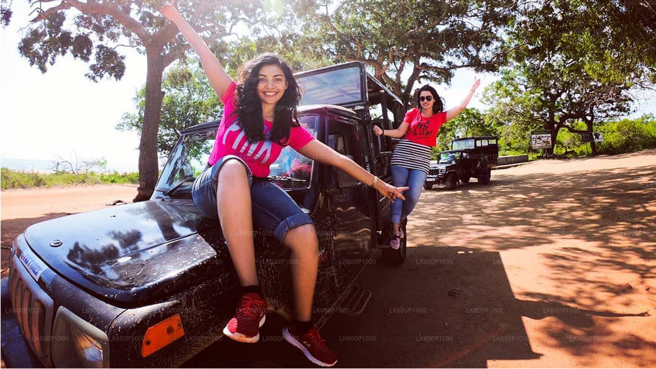 Safari por el Parque Nacional Yala desde Kalutara