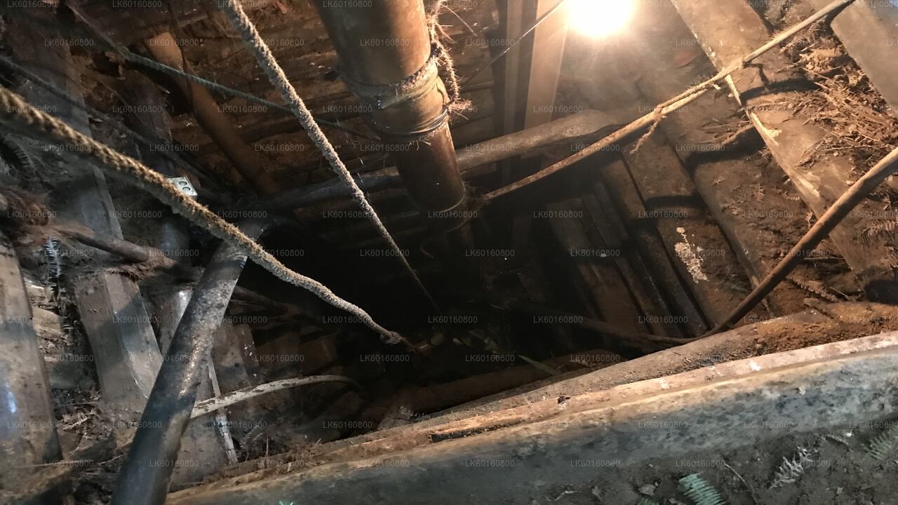 Explora las minas de gemas en Rathnapura desde Wadduwa