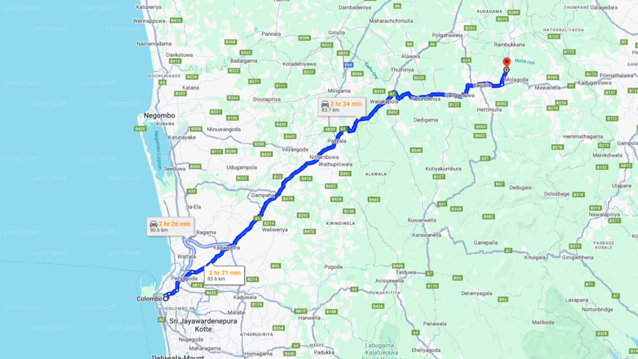 Fundación Millennium Elephant de Colombo