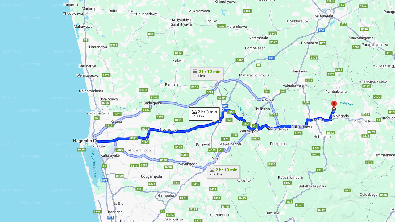 Fundación Millennium Elephant de Negombo