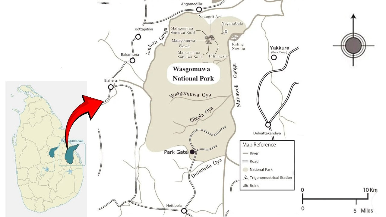 Safari por el Parque Nacional Wasgamuwa desde Polonnaruwa