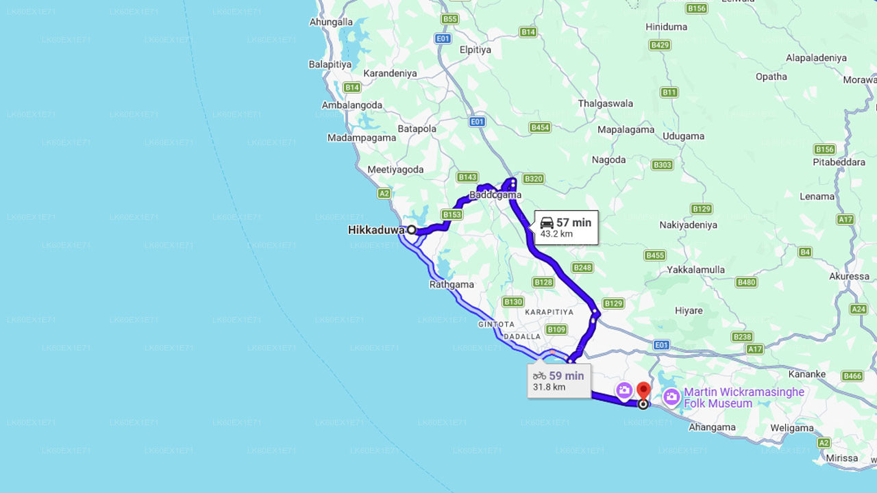 Liberación de tortugas bebés en Unawatuna