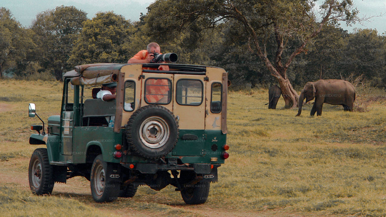 Tour privado de Mirissa a Ella con Udawalawe Safari