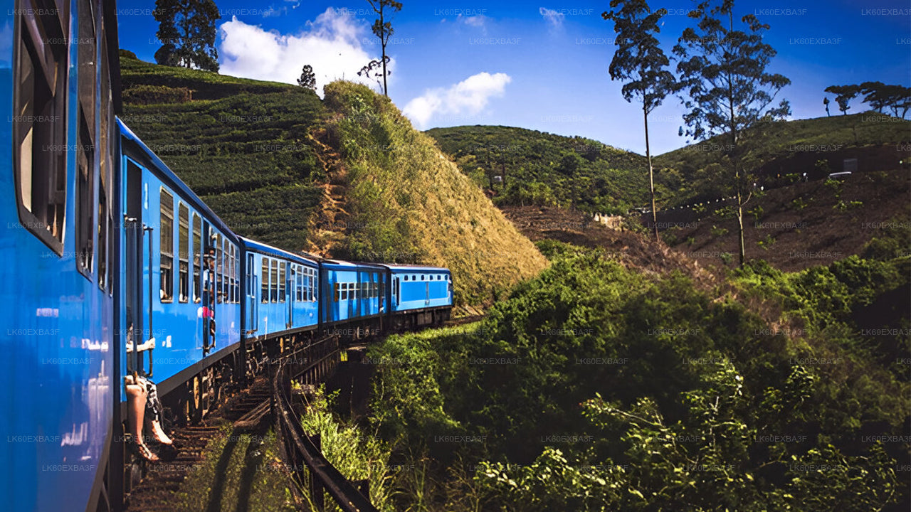 Blue train traveling through a scenic landscape with green hills and trees.