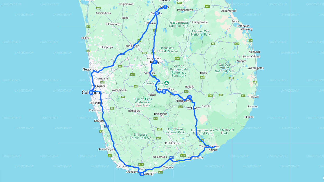 Map of a route on a blue background