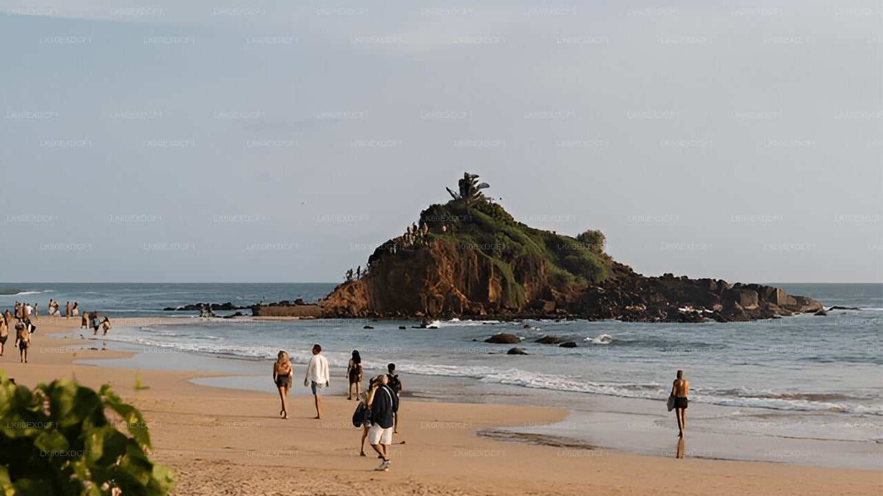 Tour privado de Ella a Mirissa con Udawalawe Safari