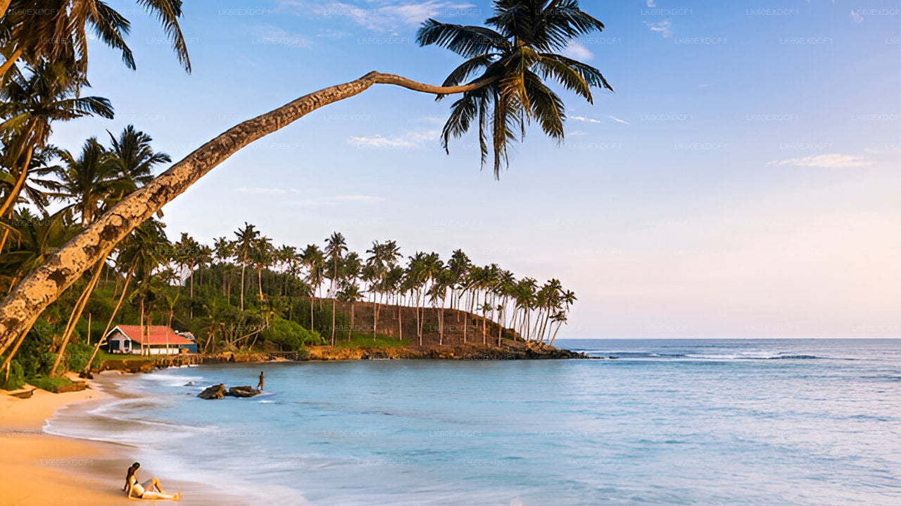 Tour privado de Ella a Mirissa con Udawalawe Safari