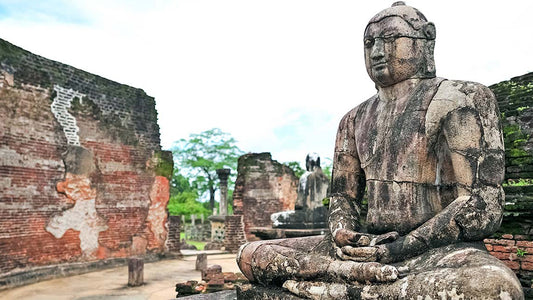 Traslado privado de Sigiriya a Pasikudah con recorrido por la ciudad antigua de Polonnaruwa