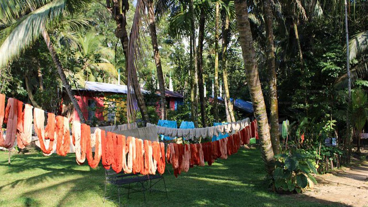 Explora las joyas ocultas de Galle y cena con los lugareños