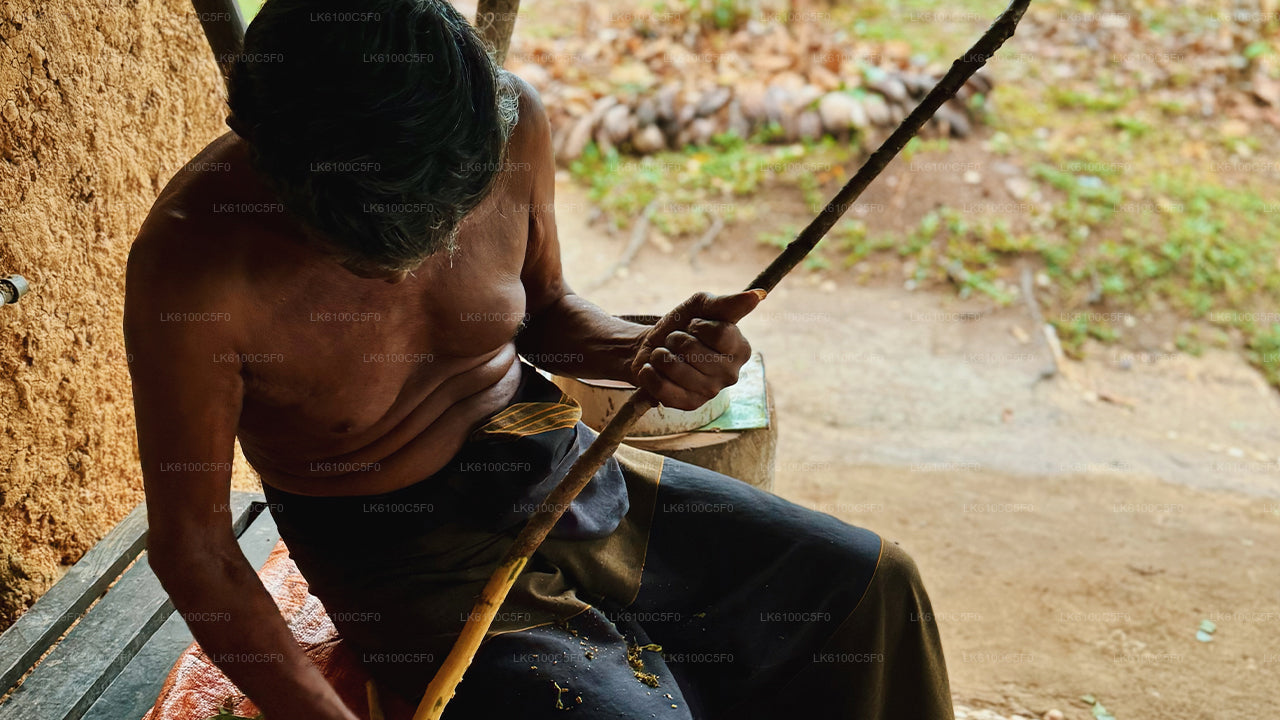 Explora las joyas ocultas de Galle y cena con los lugareños