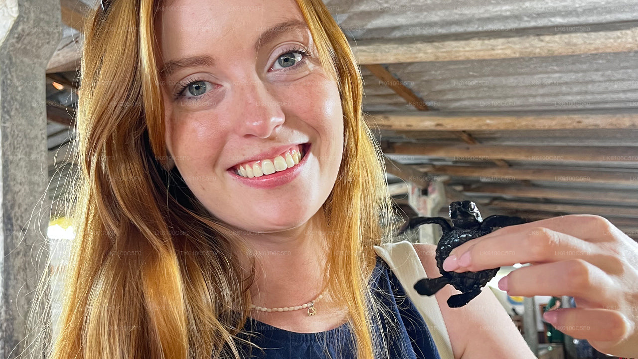 Explora las joyas ocultas de Galle y cena con los lugareños