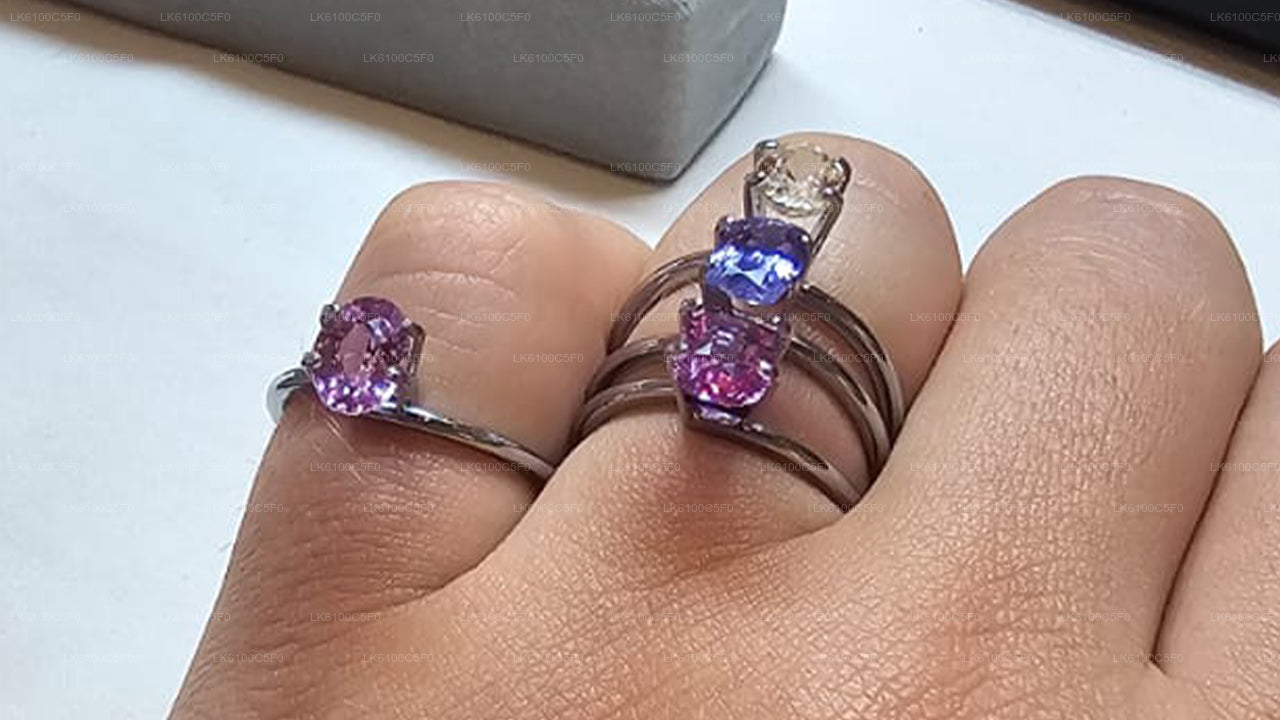 Explora las joyas ocultas de Galle y cena con los lugareños