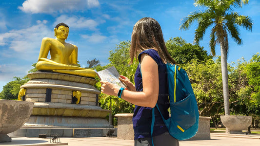 Excursión a la ciudad de Colombo desde el puerto de Colombo