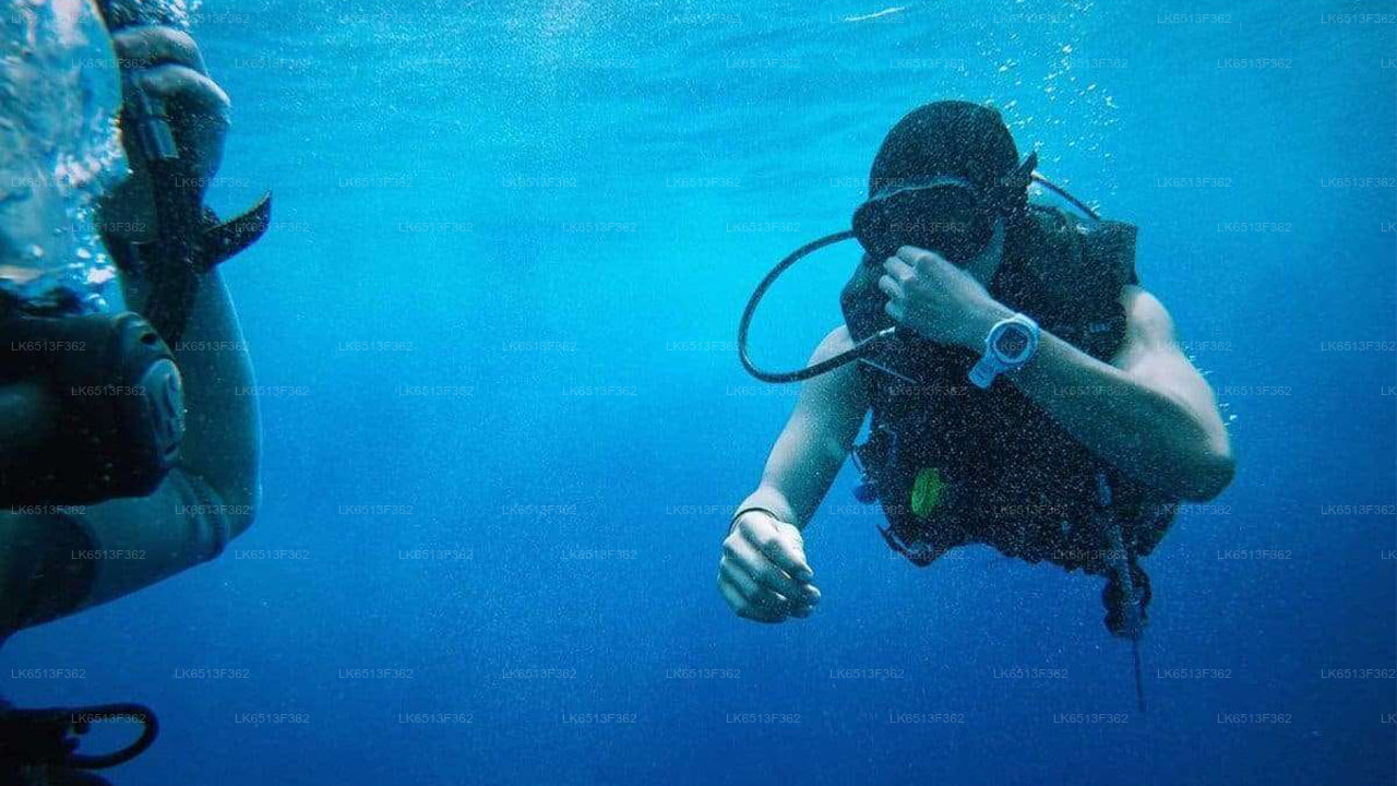 Discover Scuba Diving from Bentota