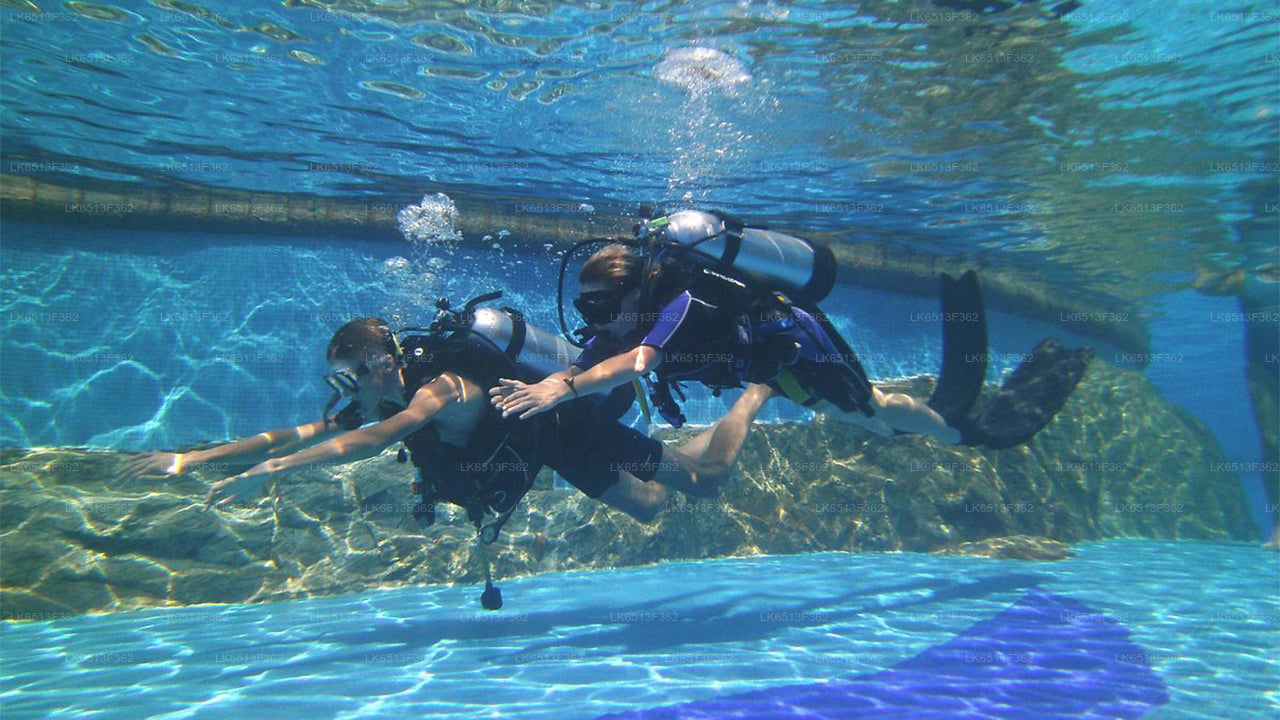 Discover Scuba Diving from Bentota