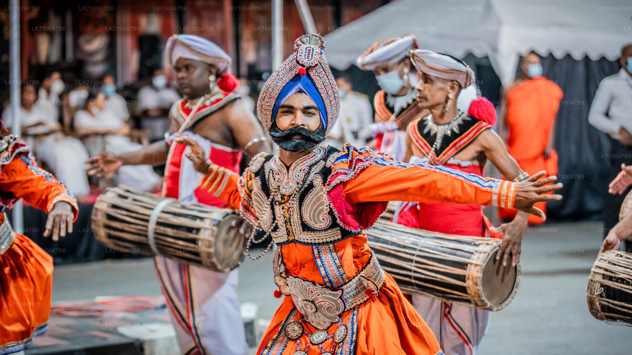 Kandy Esala Perahera - Día 11 (entradas y asientos)