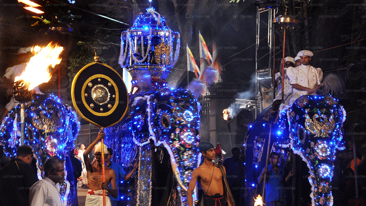 A colorful procession featuring traditional dancers, fire-breathers, and decorated elephants during the Gangaramaya Nawam Maha Perahera in Colombo.