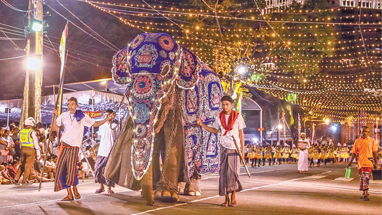 Kandy Esala Perahera - Día 11 (entradas y asientos)
