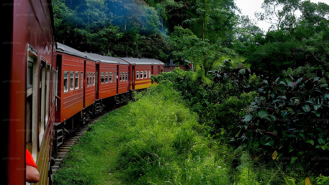 Viaje en tren de Ella a Ambewela (Tren n.° 1005/1015)