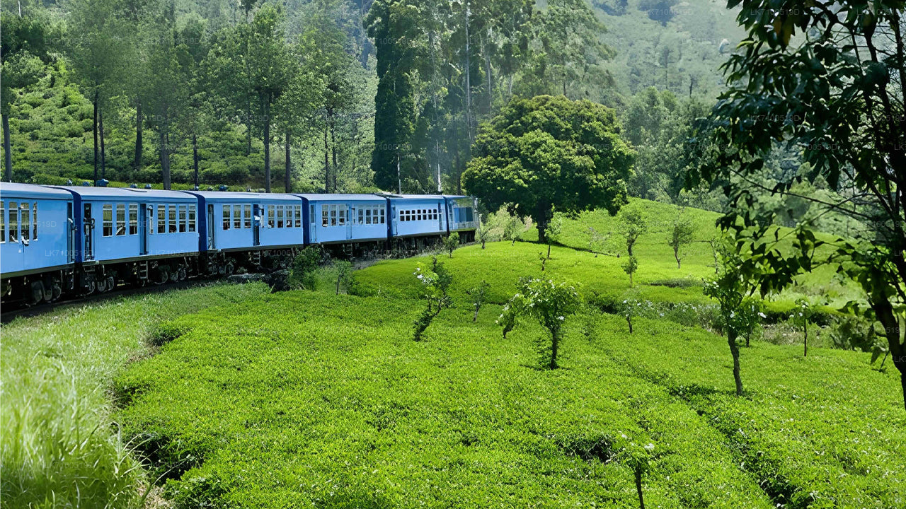 Viaje en tren de Ella a Ambewela (Tren n.° 1005/1015)