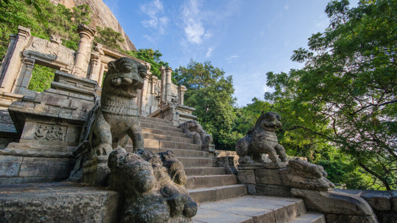 Boletos de entrada a Yapahuwa