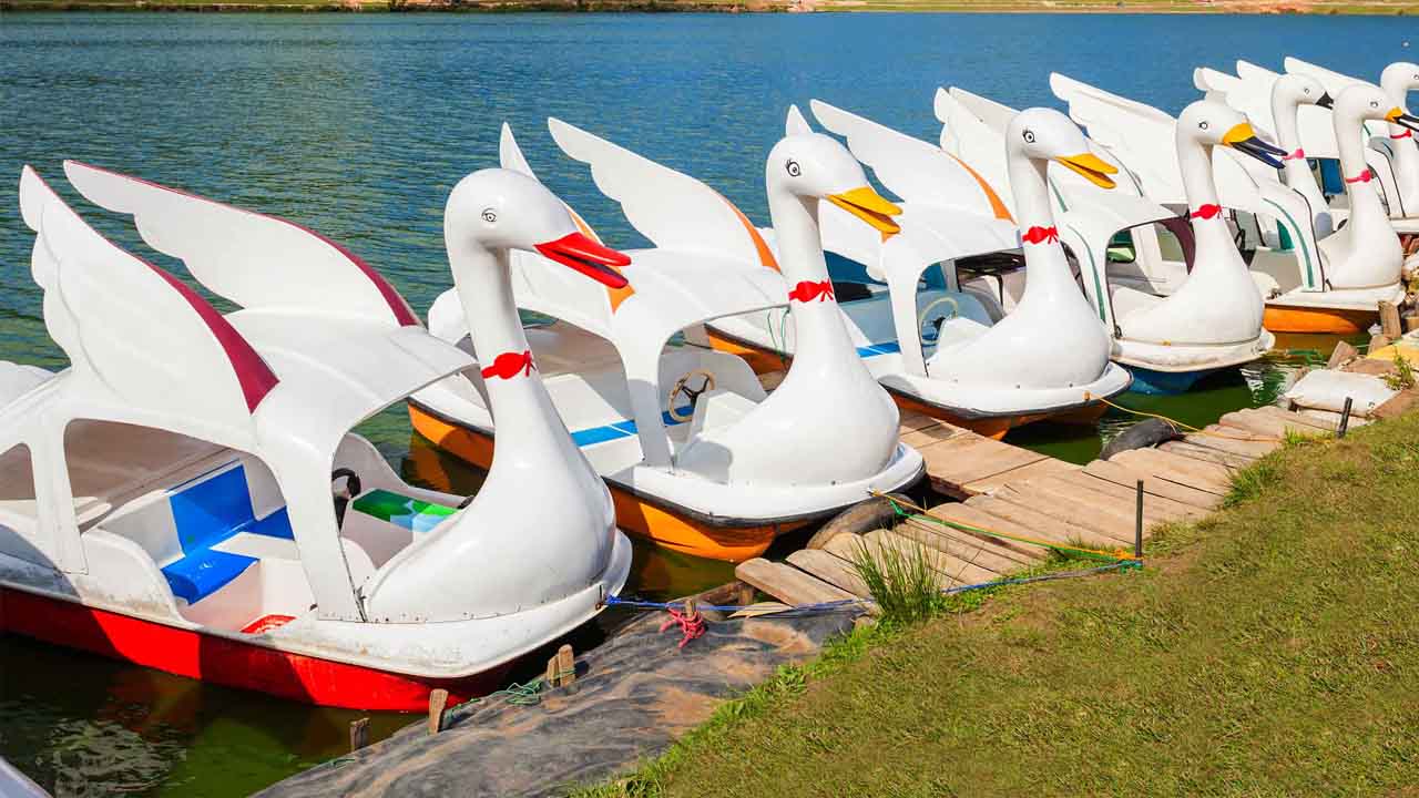 Boletos de entrada al lago Gregory