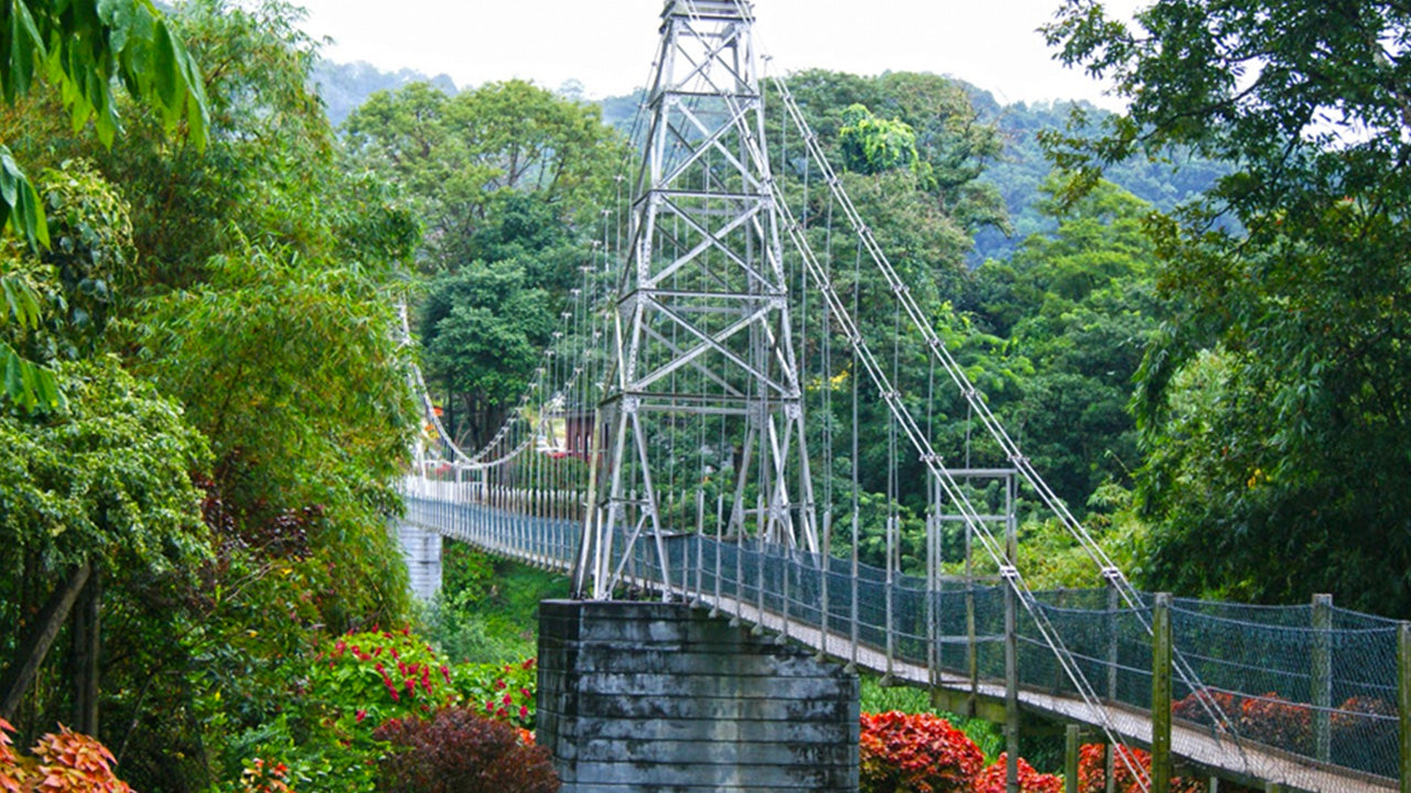 Entradas al jardín botánico de Peradeniya