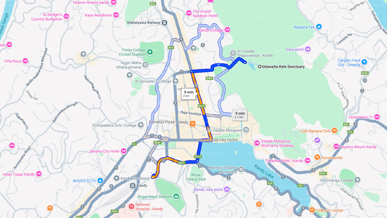 Excursión a la Reserva Forestal de Udawattakele desde Kandy