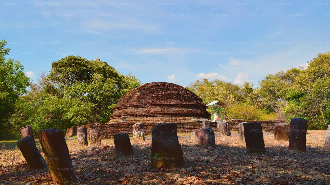 Caminata a la roca circular de Danigala desde Aaralaganwila
