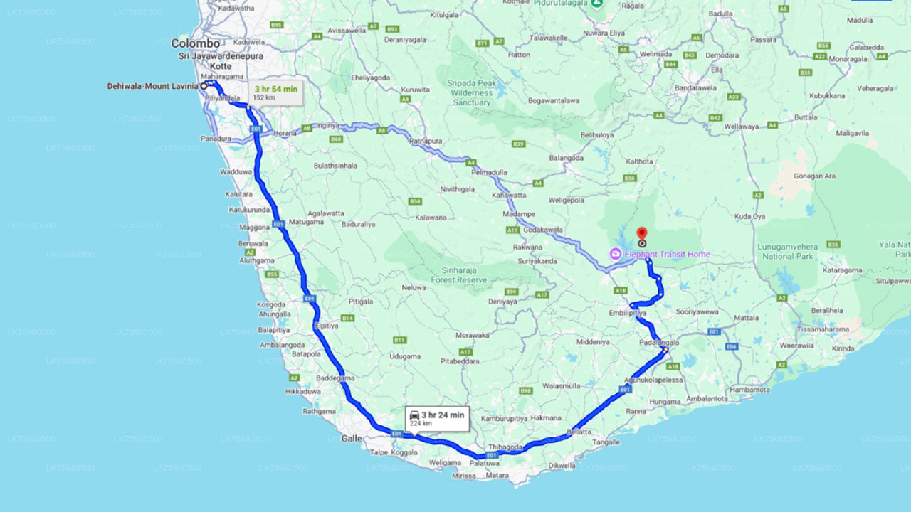 Udawalawe National Park Safari from Mount Lavinia