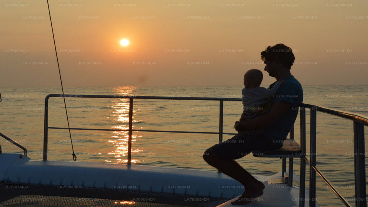 Crucero en yate de 2 horas desde Mirissa