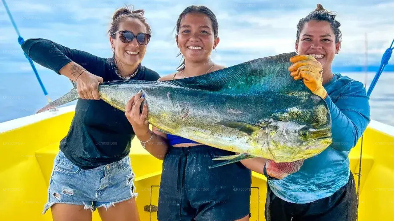 Tour de pesca desde Galle