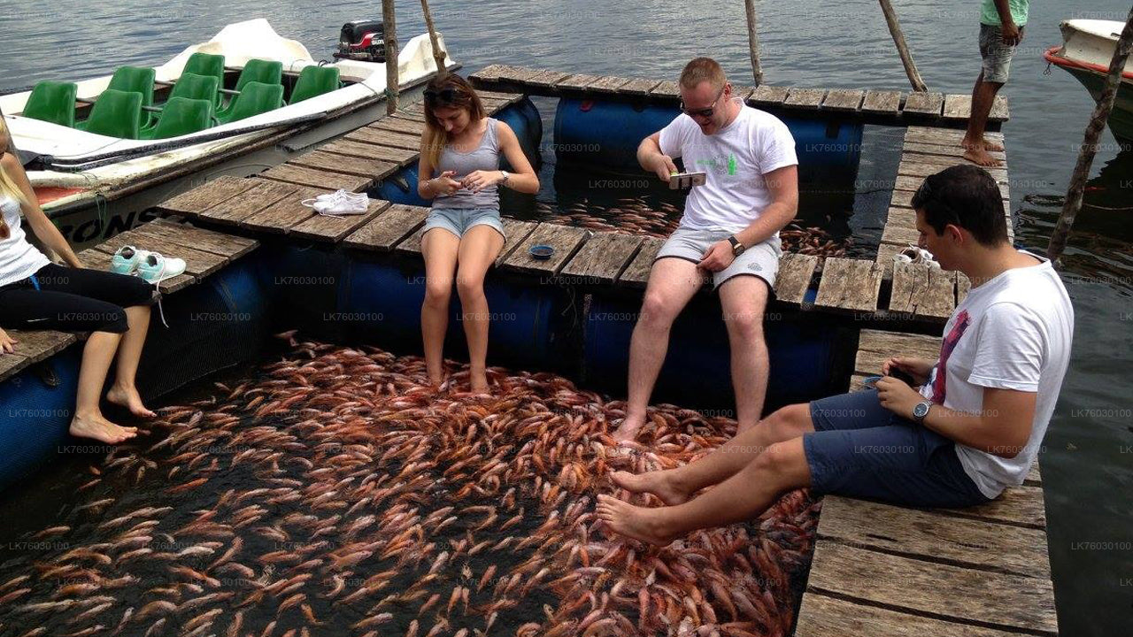 Safari en barco por el río Madu