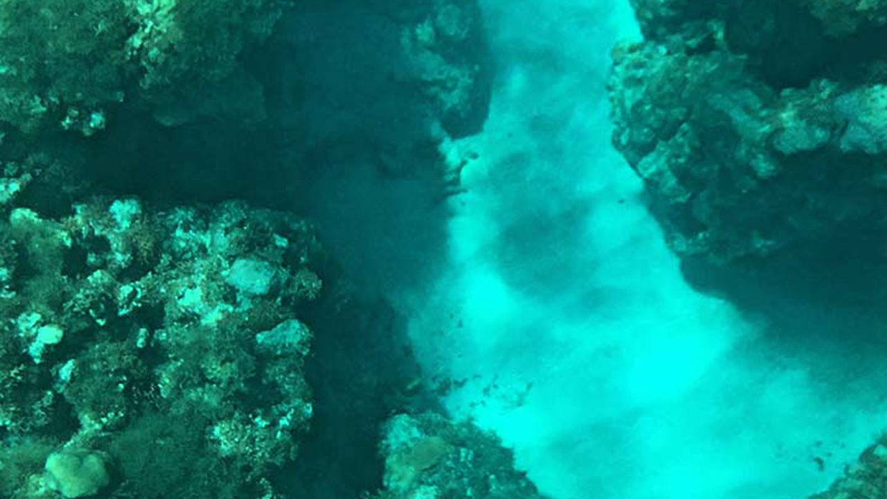 Paseo en barco con fondo de cristal desde Hikkaduwa