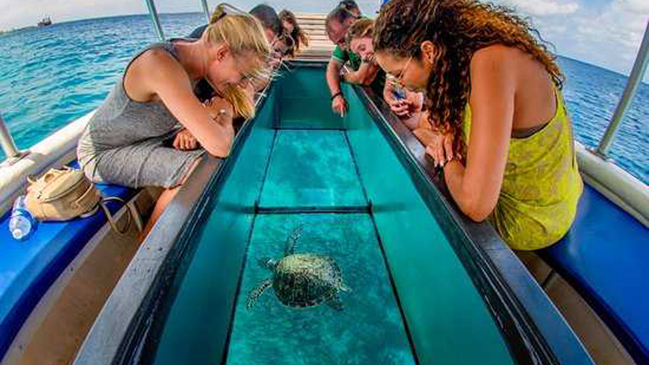 Paseo en barco con fondo de cristal desde Hikkaduwa