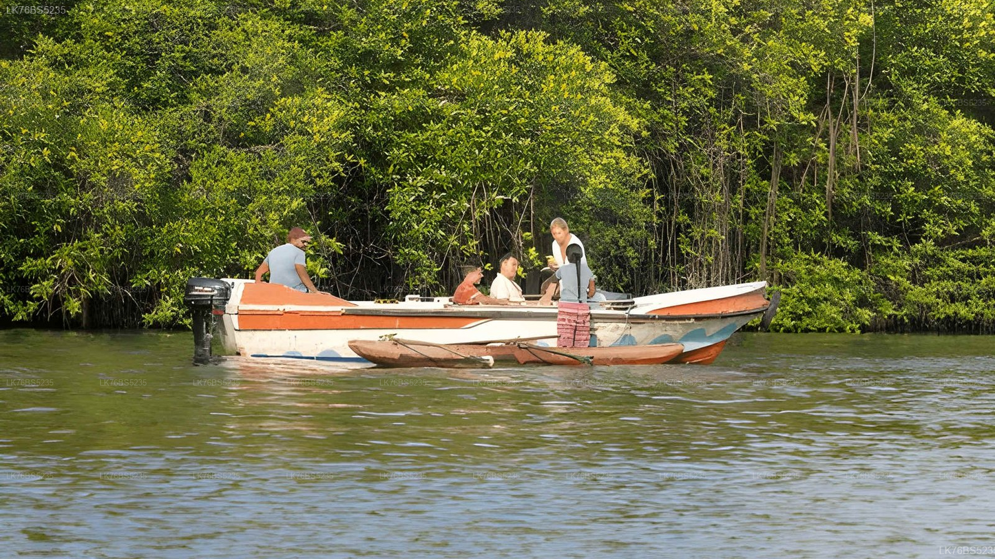 Lagoon Boat Tour from Mawella