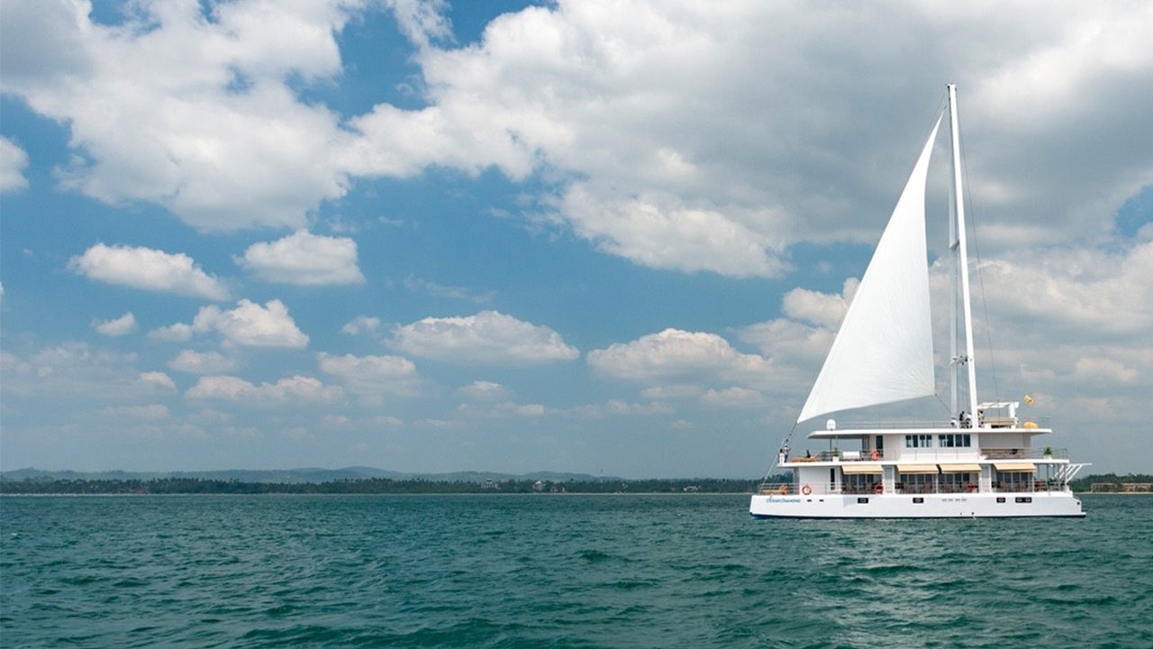 Experiencia de crucero nocturno desde Mirissa en el Ocean Diamond